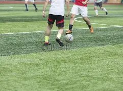 体育平台,资讯,333体育平台,333体育网址,333体育平台,333体育官网app,333体育官网登录