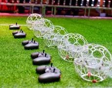 体育平台,资讯,333体育平台,333体育网址,333体育平台,333体育官网app,333体育官网登录