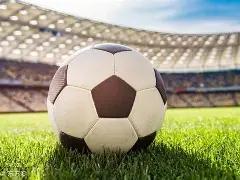 家校同庆,共赏游泳社,团启航风采,333体育网址,333体育平台,333体育官网app,333体育官网登录