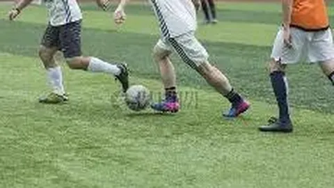 333体育平台 产品 113838 1vn