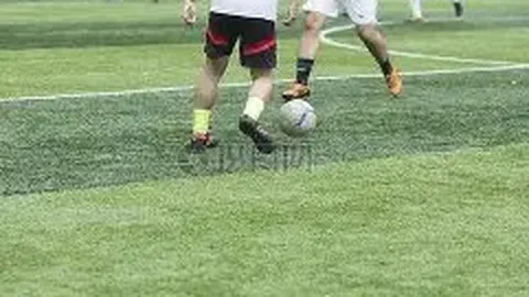 333体育平台 资讯 115254 9ub