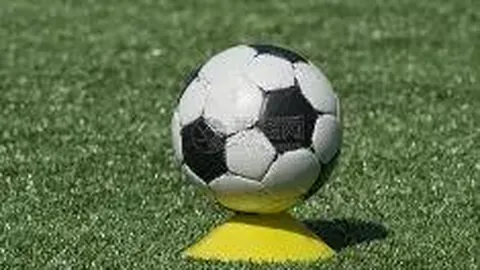 333体育平台 产品 135920 s60