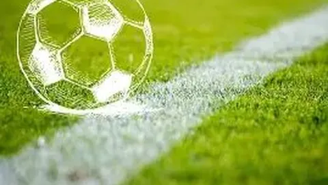 333体育平台 资讯 141211 yao